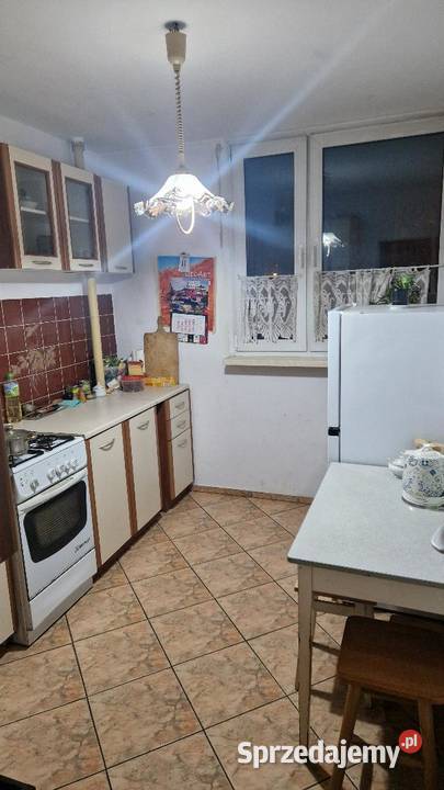 1 pokójsalon pracującej pary 1 osoby Wrocław