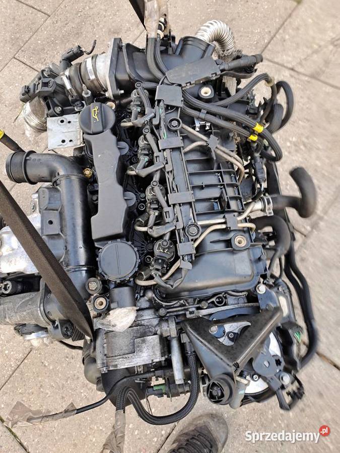 Ford Fokus MK2 16 TDCi 109 silnik kompletny kod śląskie Jastrzębie-Zdrój