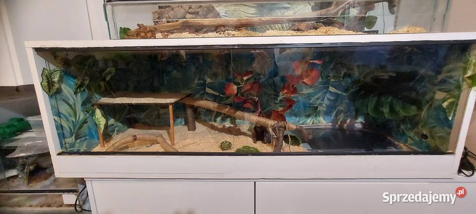 Terrarium Tychy