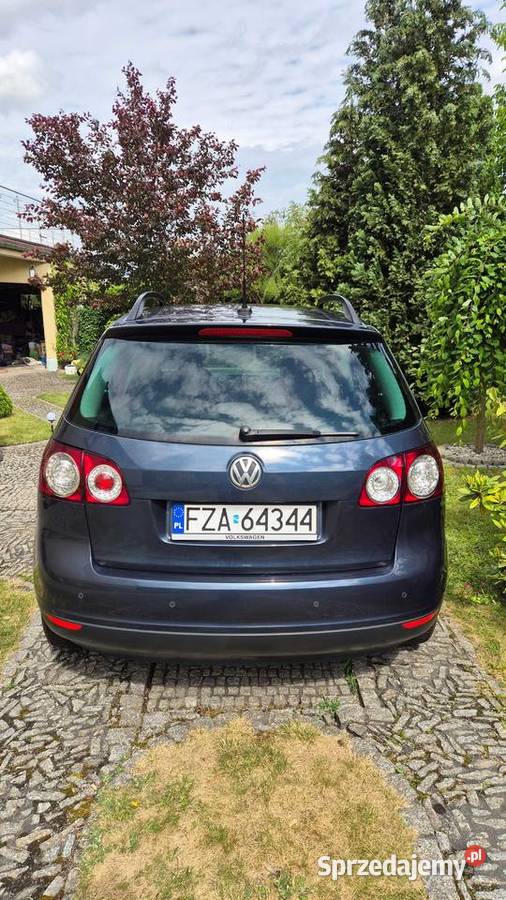 Golf Plus 19 TDI DPF United 2008 uszkodzony Golf Plus Żary sprzedam