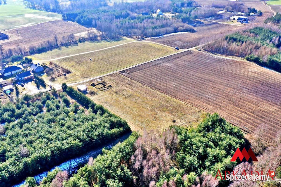 Grunt 9180m2 Lipno kujawsko-pomorskie