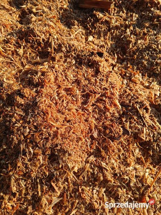 Sprzedam trociny wióry drzewne poprodukcyjne Procisne