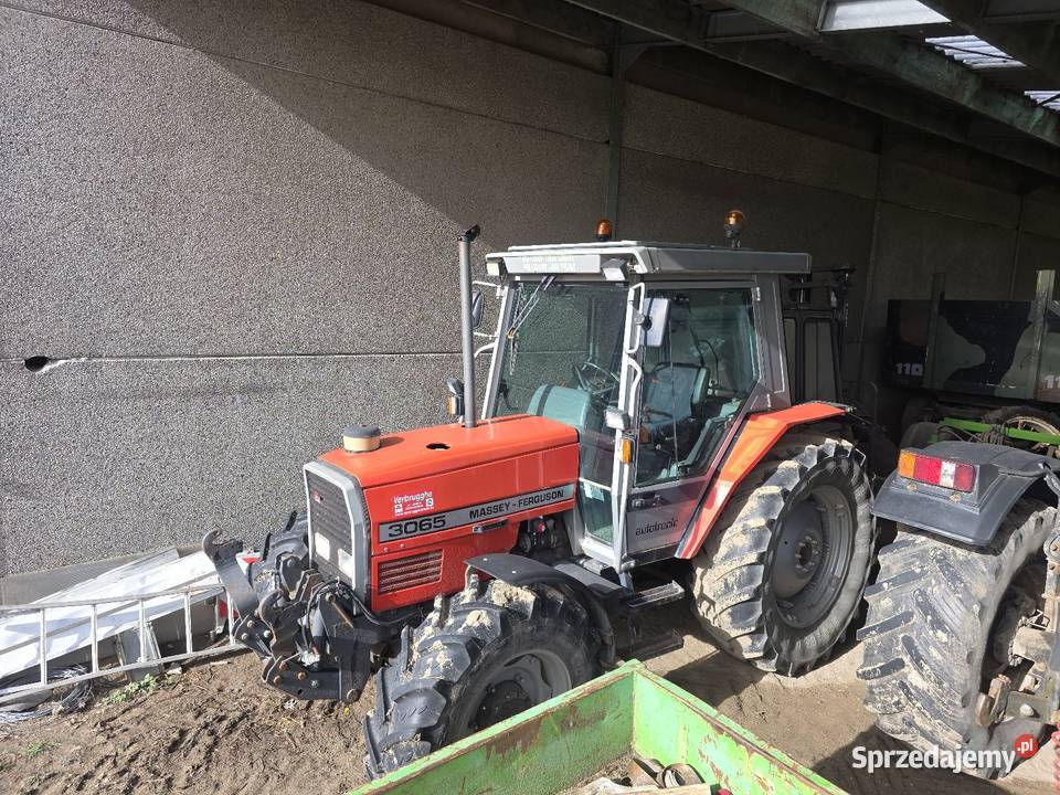 Massey Ferguson 3065 Massey Ferguson sprzedam