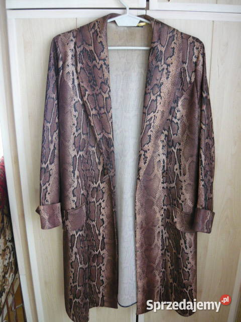 Płaszczyk krótki śląskie