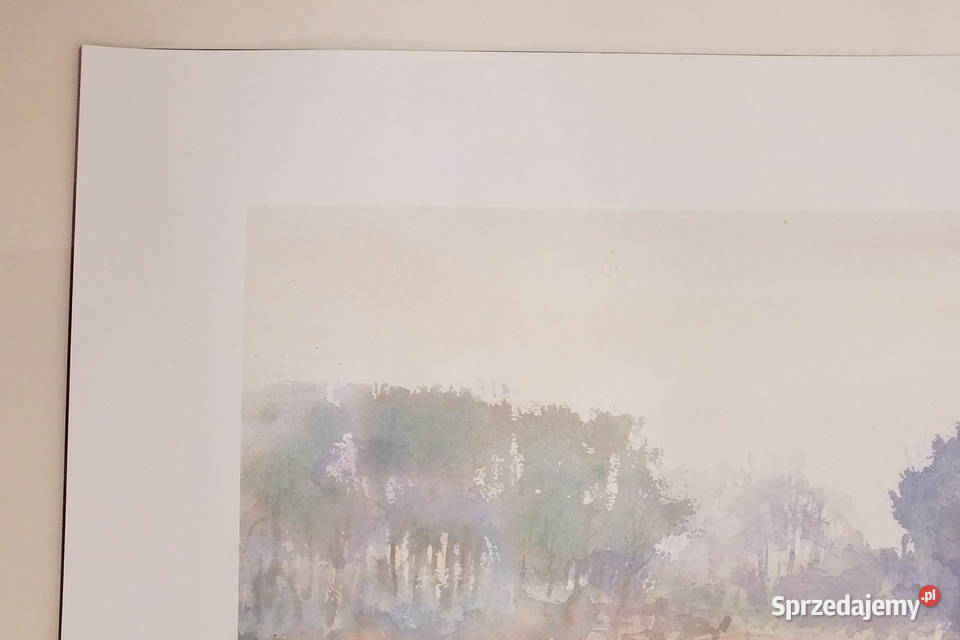 Pieter V Hoof Pejzaż Lubin