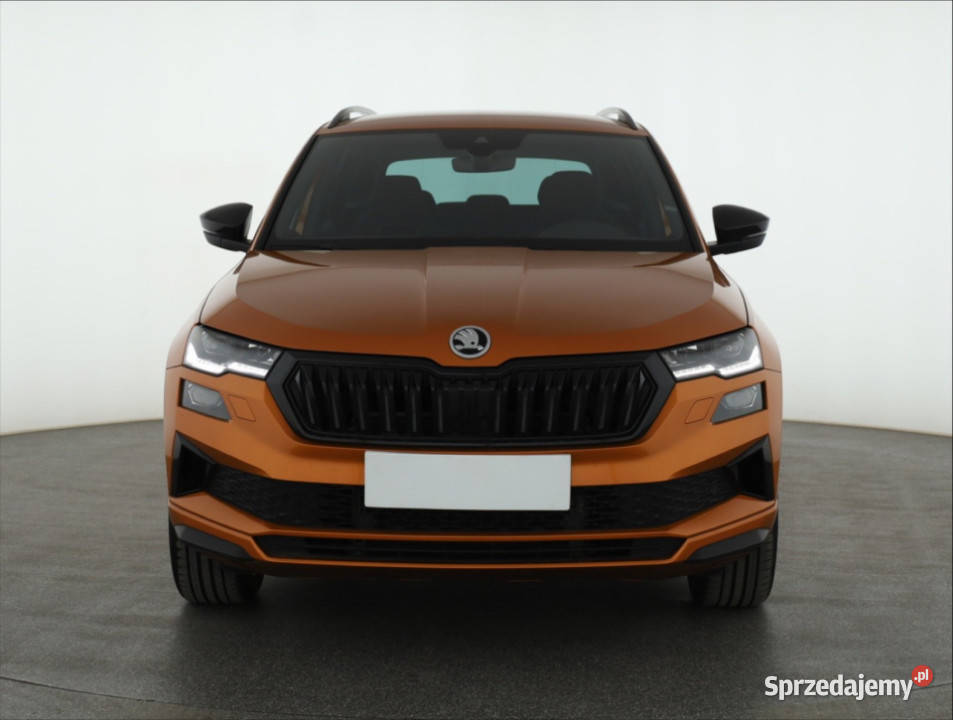 Skoda Karoq 15 TSI wielofunkcyjna kierownica