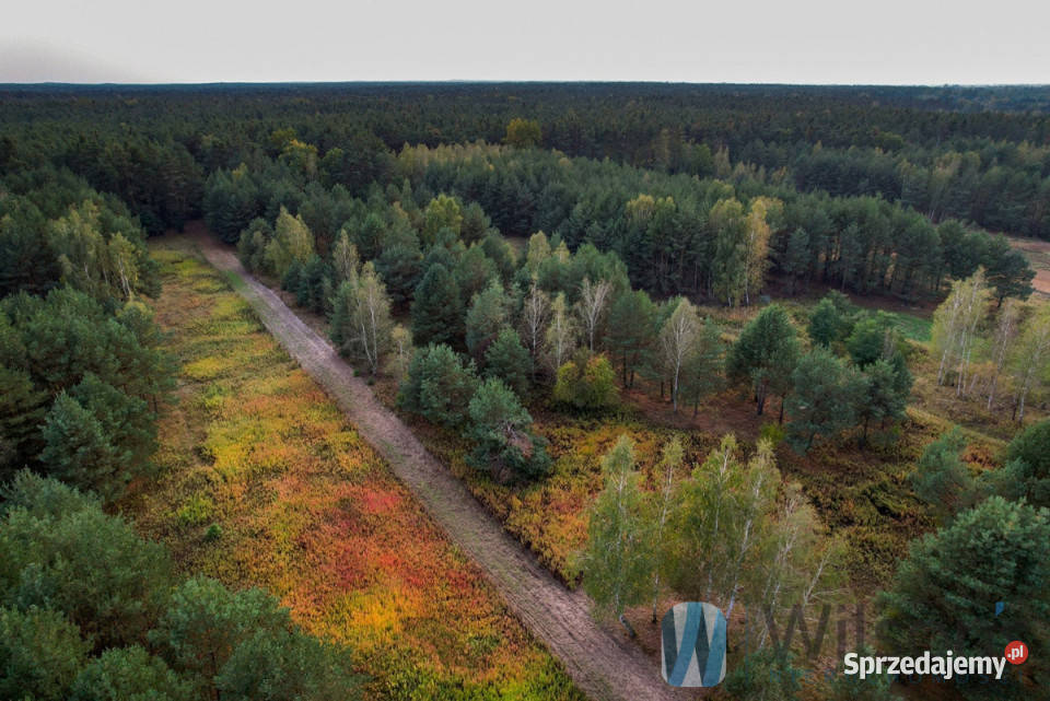 sprzedaży działki 3000m2 Czosnów Cząstków