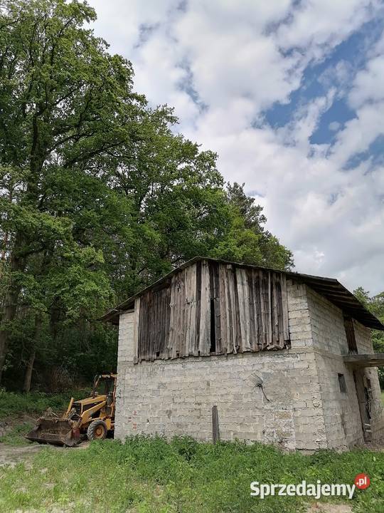 Spredam dom pod lasem Nieruchomości Konopnica sprzedam