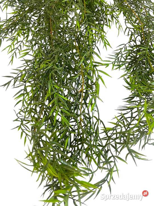 Aspargus Pnącze Ciemna Zieleń Sztuczne kwiaty zielony Warszawa