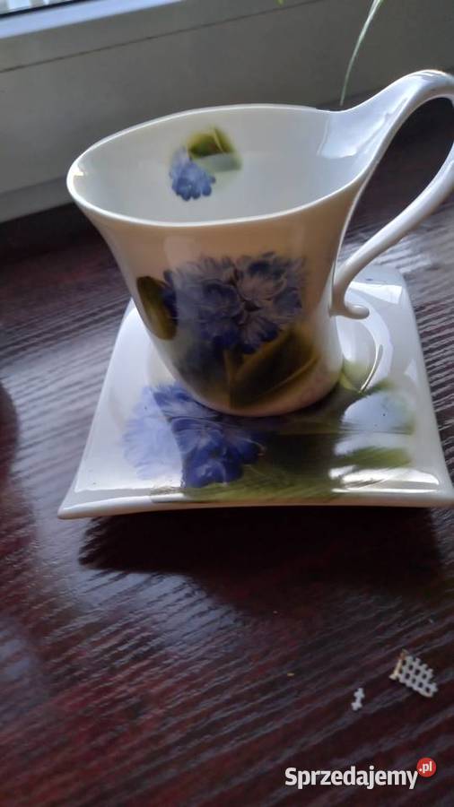 filiżanka Habry Warszawa