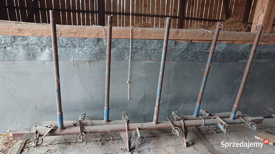 Brony polowe 5tki Brony