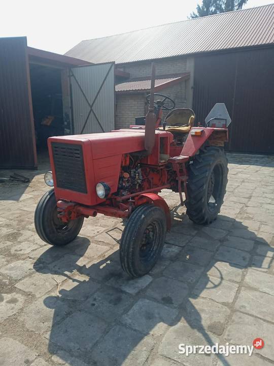 Sprzedam t25 Gęś
