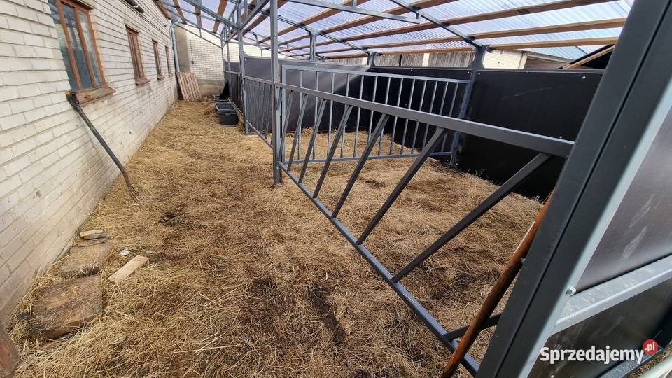 Domki cieląt grupowe Modułowe Kolnica
