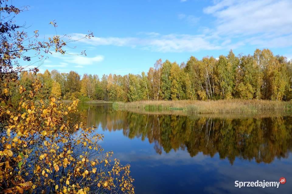 Panasonic Lumix DMCTZ70 30x opt12 Pabianice sprzedam