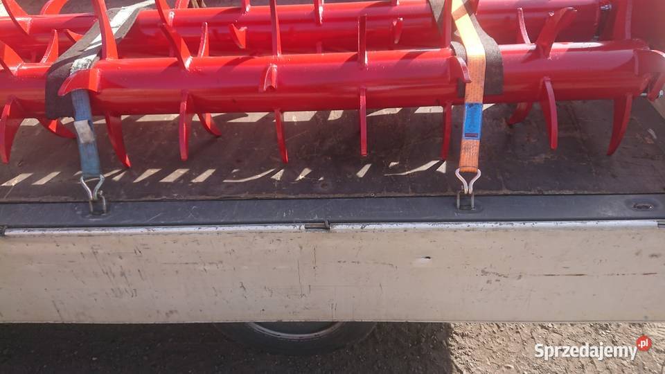 Głębosz 4 nieuszkodzony Kowalewo Pomorskie