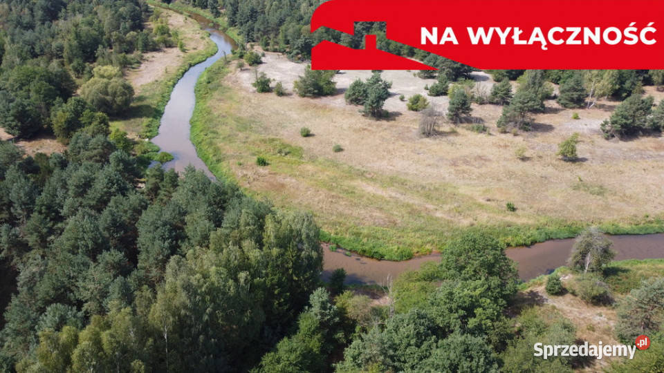 Działka letniskowa 800 m2 w Woli Chodkowskiej Wola Chodkowska