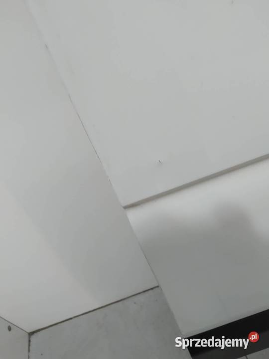 DRZWI PRAWE TYŁ PRZESUWNE BIAŁE MOVANO B Renault Drzwi