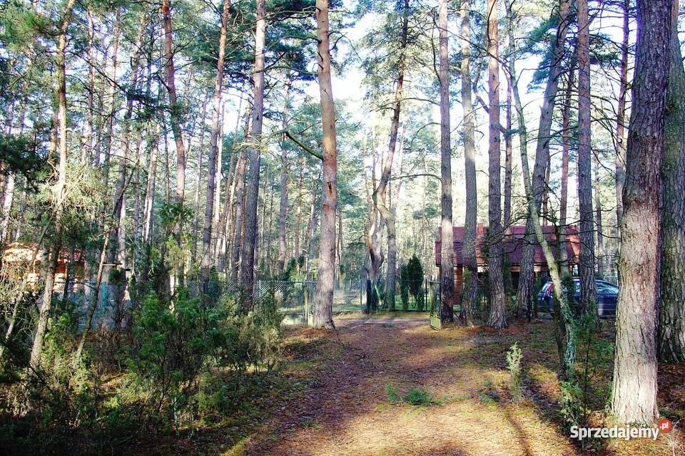 działkę budowlaną w Popowie kSerocka 35m Popowo-Parcele