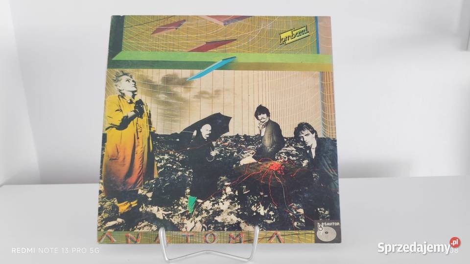 Płyty Winylowe Wiązów