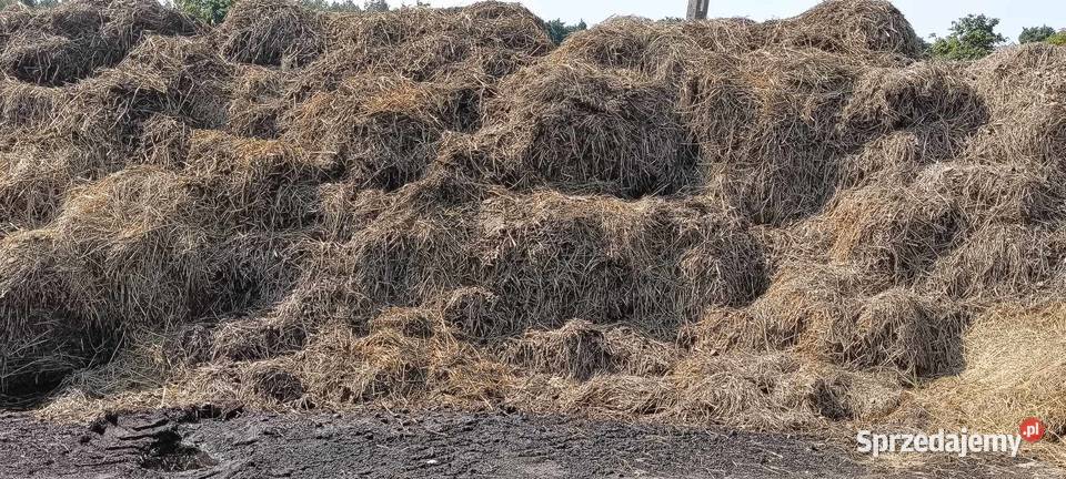 Obornik koński promocja Nawozy i ŚOR podlaskie Wysokie Mazowieckie