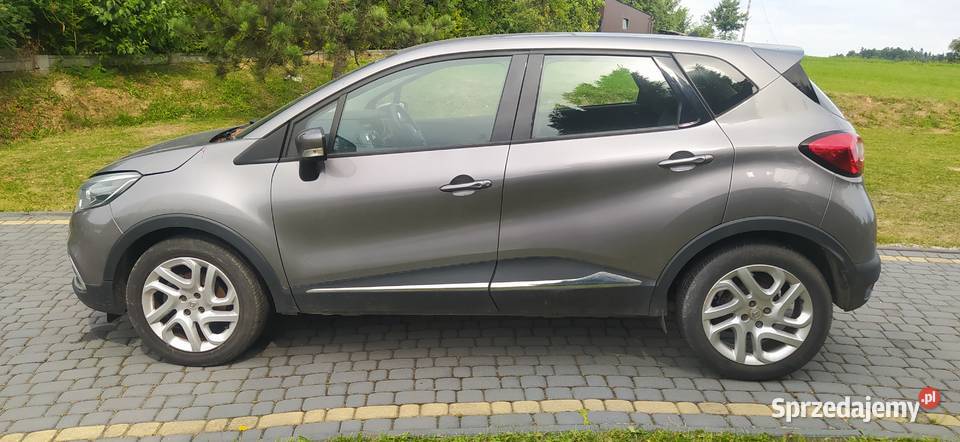 Anglik sprawny captur Captur Tymbark