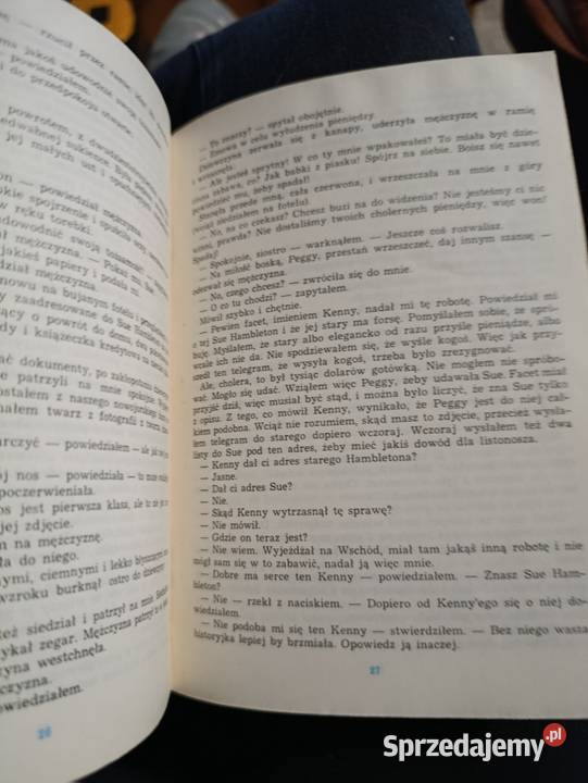 Lep na muchy autorstwa Dashiella Hammetta Poznań