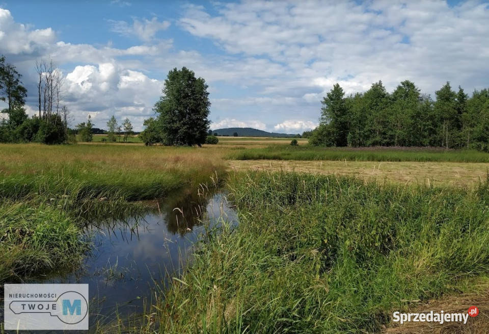 sprzedaży gruntu 56571m2 Strawczyn świętokrzyskie