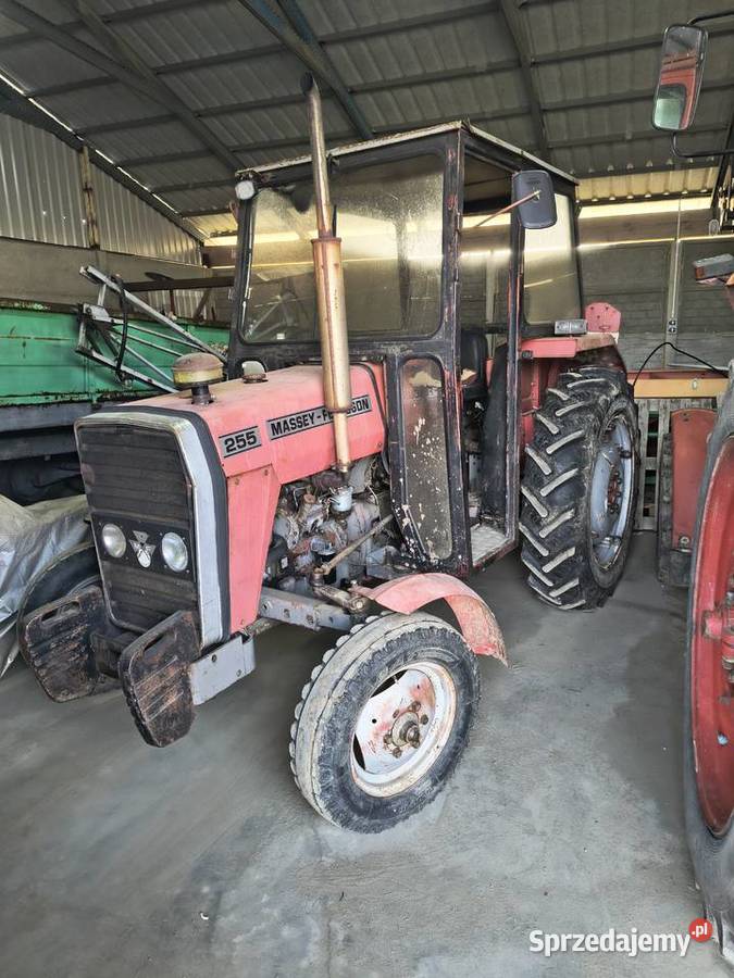 mf 255 wielkopolskie Mikstat