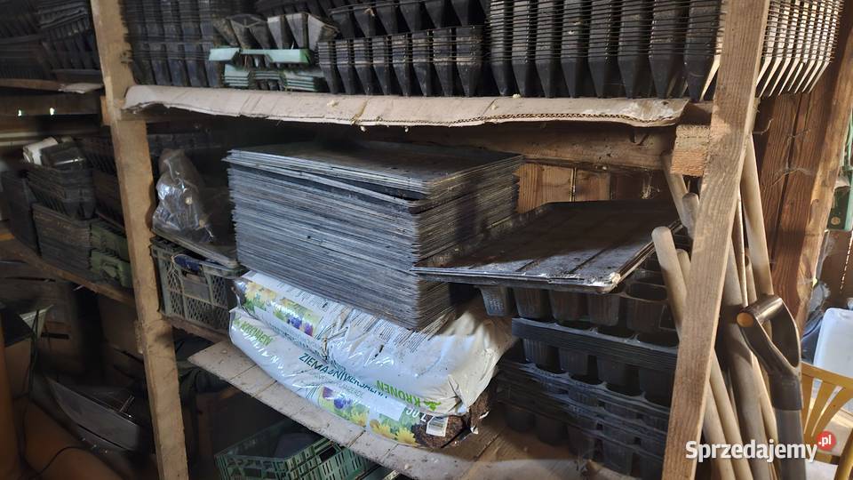 Tacki wysiewne multidoniczki palety wysiewne Szczebrzeszyn