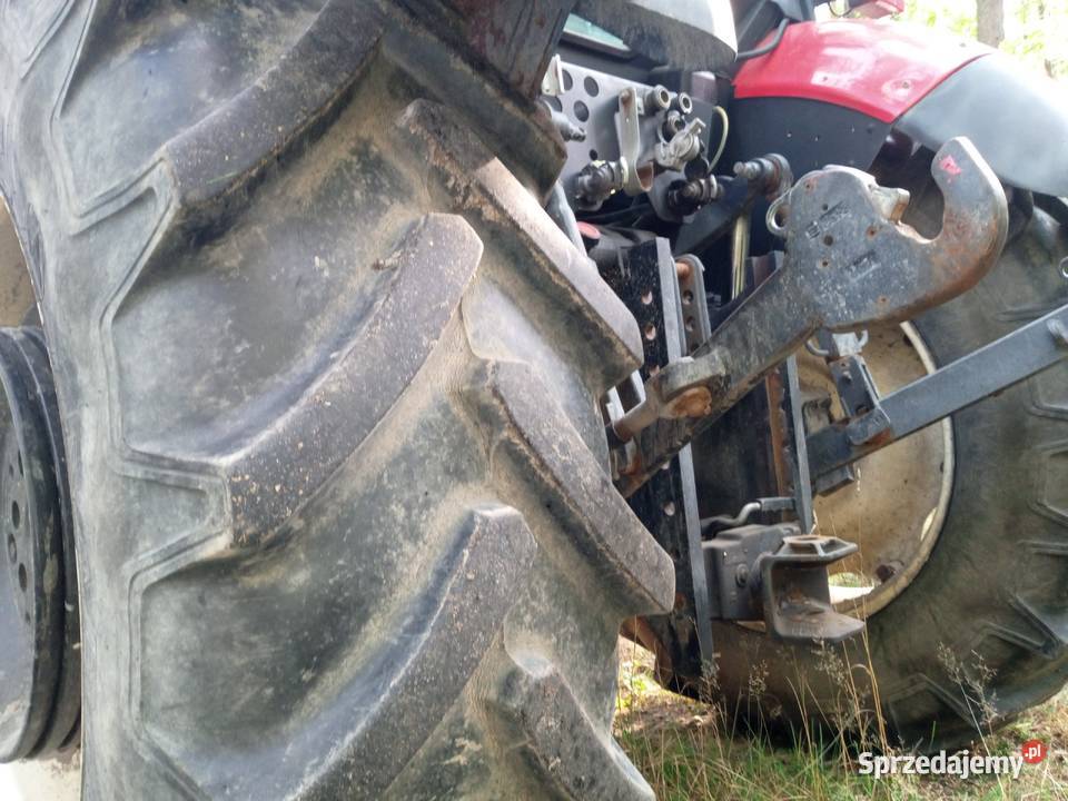 Zetor Proxima mazowieckie Boguty-Pianki