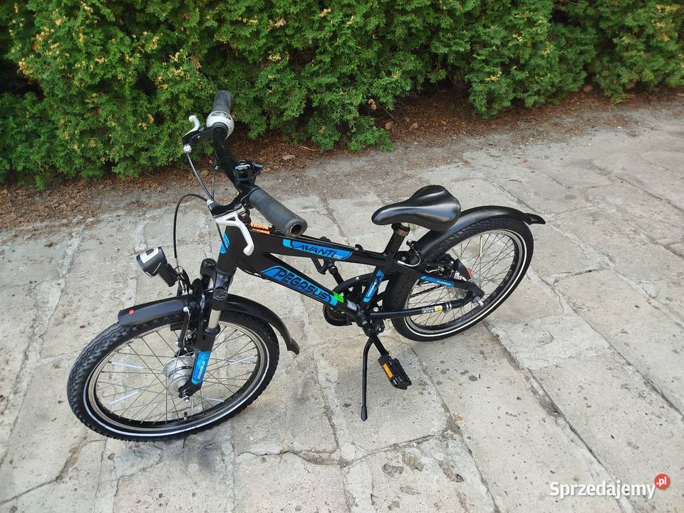 Rower dziecięcy Pegasus koło 20 przywieziono z Zamość