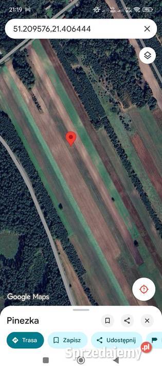 Działka Leśno Rolna 11 ha Las Zieleń Trasie Czerwona