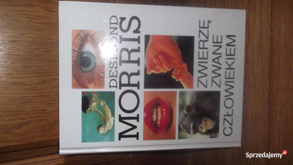 Zwierzę zwane człowiekiem Morris