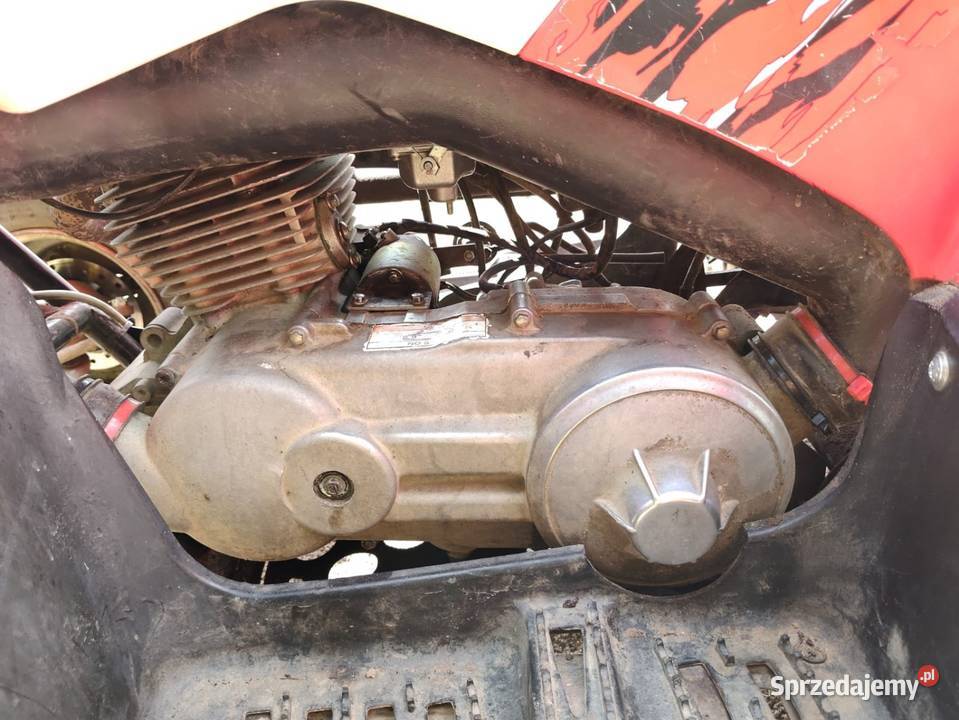 Quad Polaris Phoenix 200 ATV Karsin