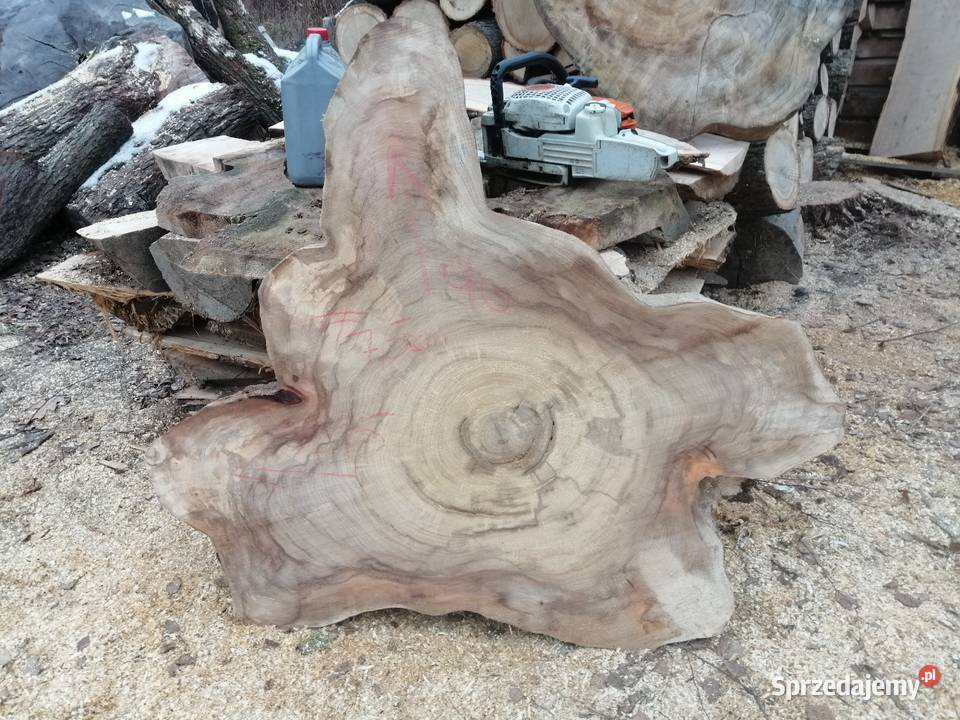 Stolik kawowy plaster wiązu 100 x 100 x7 Przysucha