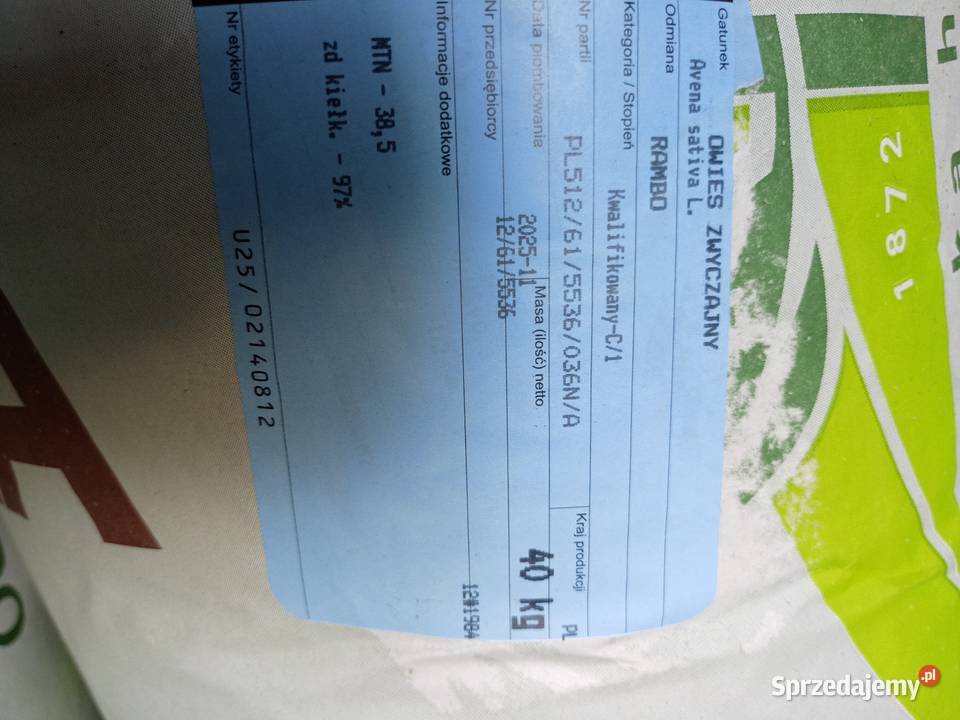 Owies Rambo Rzemień sprzedam