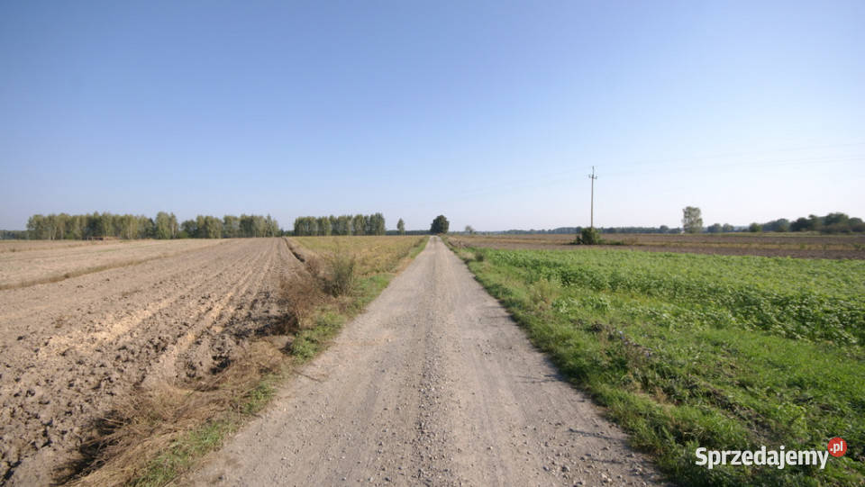 Działka rolno budowlana 96a Rudka Gołębska