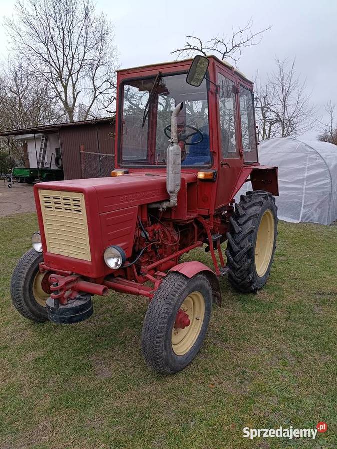 Władimirem t25 Cyców sprzedam