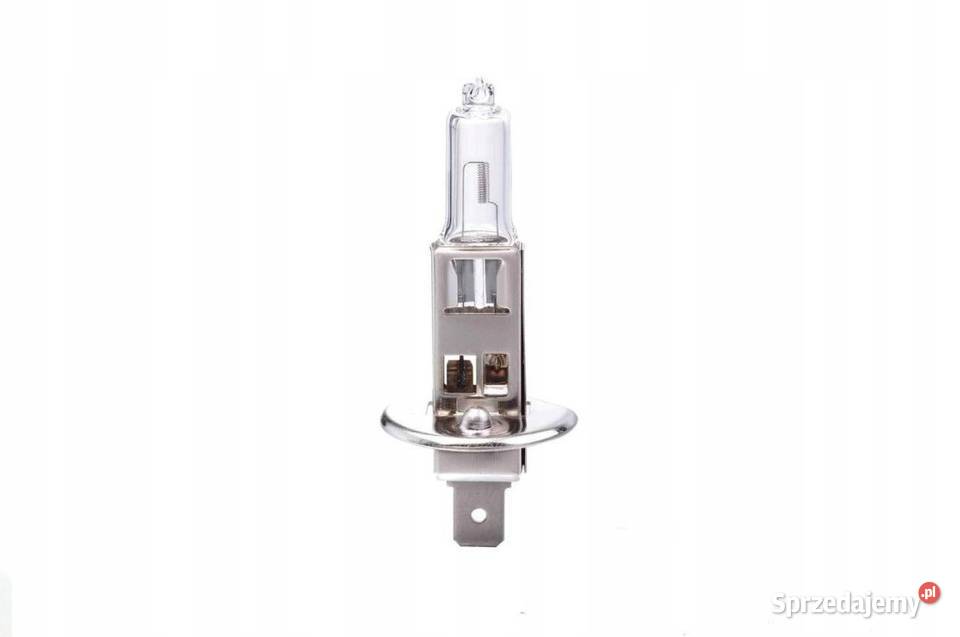 Żarówka halogenowa H1 12V 55W filtr UV Poznań sprzedam
