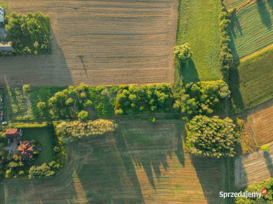 80 arów pozwolenie na budowę 2 domów polna Sprzedaż
