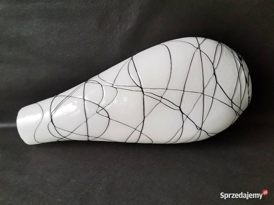 Stary wazon w oplocie Katowice sprzedam