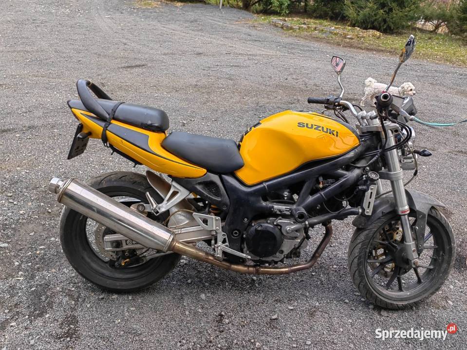 Suzuki sv650 czterosuwowy Leśna