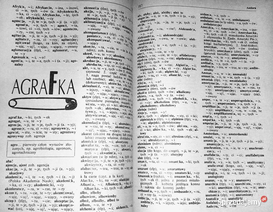 Język polski na co dzień Ewa i Feliks Przyłubscy miękka Chełm