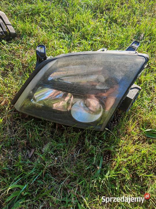 Lampy xenon Vectra C signum
