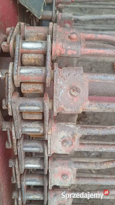 Kopaczka do ziemniaków świętokrzyskie Szydłów