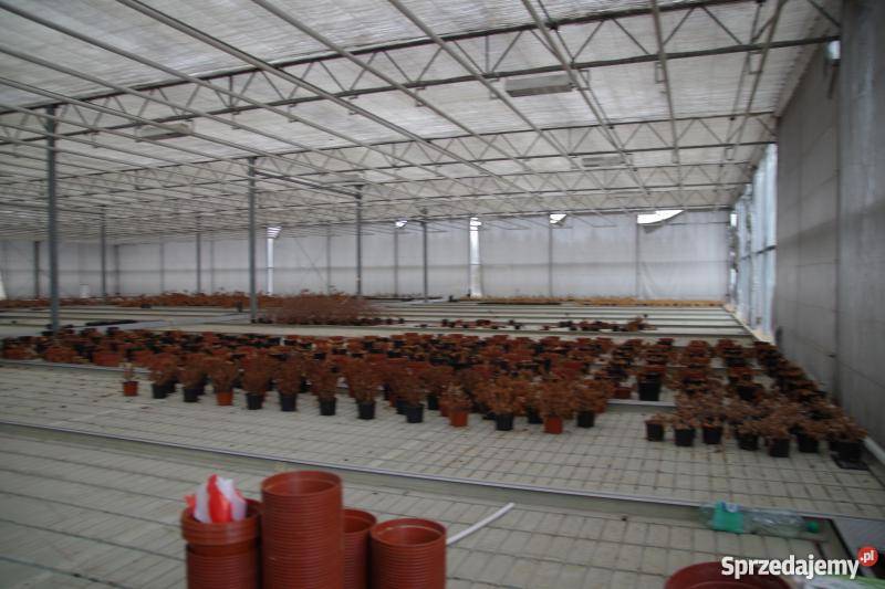 Szklarnia VENLO Pozostałe Kraków