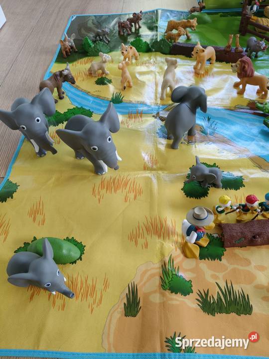 Zwierzęta Safari Disney podkarpackie