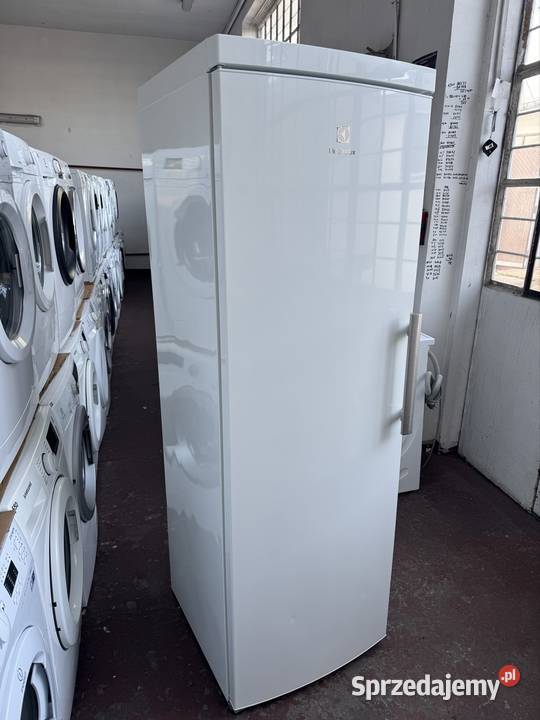 ZAMRAŻARKA Szufladowa Electrolux 180No Frost mazowieckie