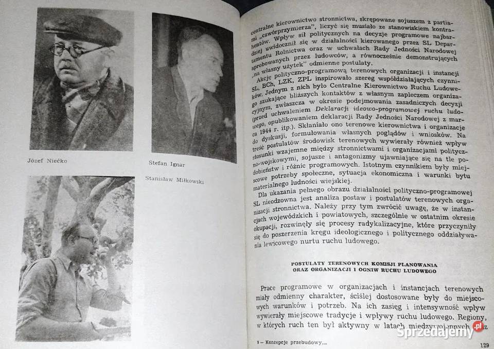 Koncepcje przebudowy Polski Stanisław Dąbrowski twarda z obwolutą Chełm