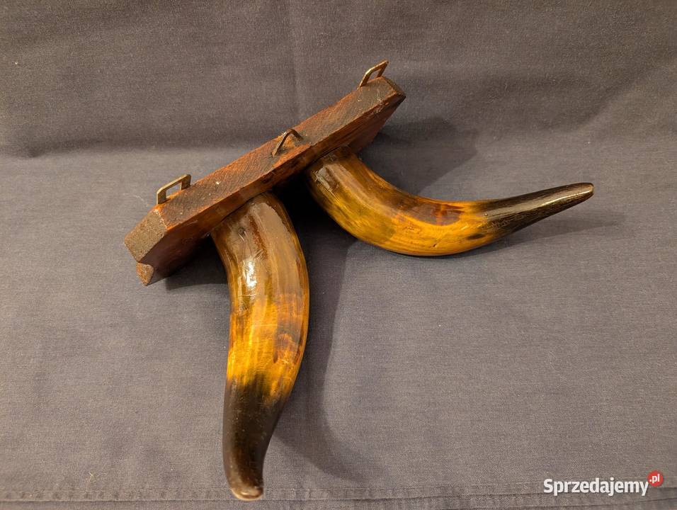 Vintage Wieszak Ścienny Polerowane Rogi Design wielkopolskie